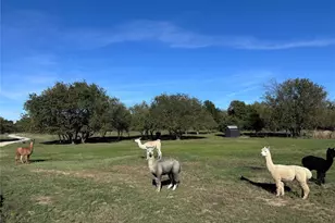 4081 Fm 2736, Campbell, TX 75422 - Photo 1