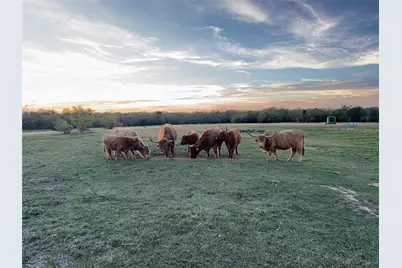 4081 Fm 2736, Campbell, TX 75422 - Photo 3