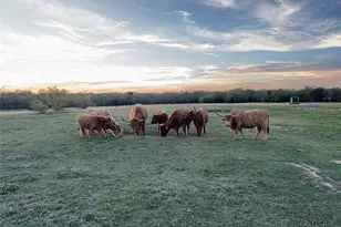 4081 Fm 2736, Campbell, TX 75422 - Photo 3