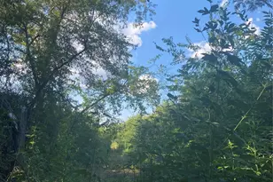 Lot 54 Harris, Sulphur Springs, TX 75482 - Photo 1