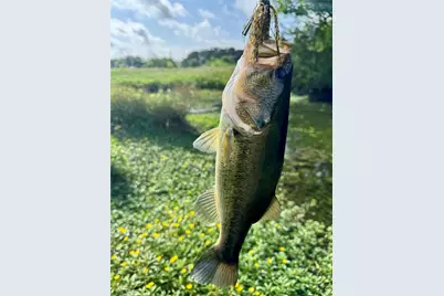 9833 R and R Circle #Lot 3, Kemp, TX 75143 - Photo 5