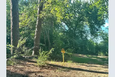 Lot 45 Harris, Sulphur Springs, TX 75482 - Photo 3