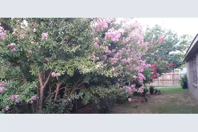 2708 Stockton Street, Denton, TX 76209 - Photo 33