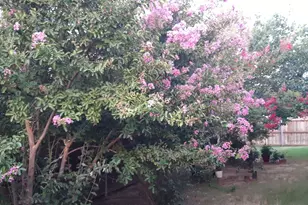 2708 Stockton St, Denton, TX 76209 - Photo 33