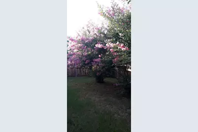 2708 Stockton Street, Denton, TX 76209 - Photo 35