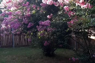 2708 Stockton St, Denton, TX 76209 - Photo 35