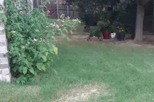 2708 Stockton St, Denton, TX 76209 - Photo 39