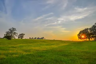 12900 County Rd 2803, Eustace, TX 75124 - Photo 15