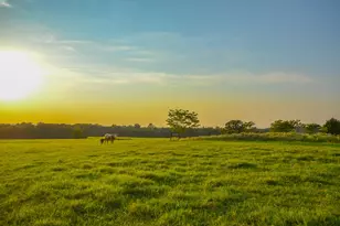 12900 County Rd 2803, Eustace, TX 75124 - Photo 13