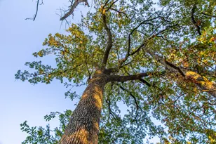 12900 County Rd 2803, Eustace, TX 75124 - Photo 39