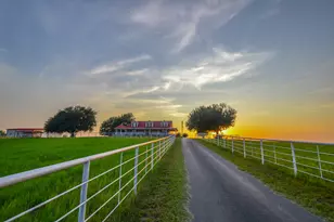 12900 County Rd 2803, Eustace, TX 75124 - Photo 17