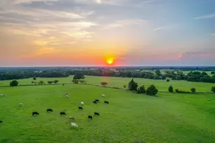 12900 County Rd 2803, Eustace, TX 75124 - Photo 7