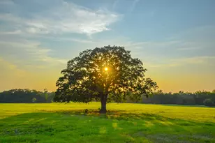 12900 County Rd 2803, Eustace, TX 75124 - Photo 11