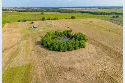 9501 Fm 2258, Grandview, TX 76050 - Photo 11