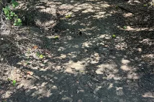 5676 County Rd 206, Grandview, TX 76050 - Photo 23