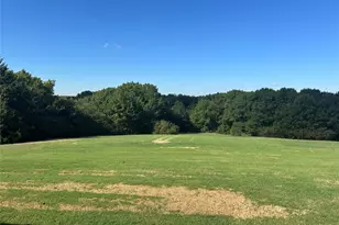 5676 County Rd 206, Grandview, TX 76050 - Photo 17