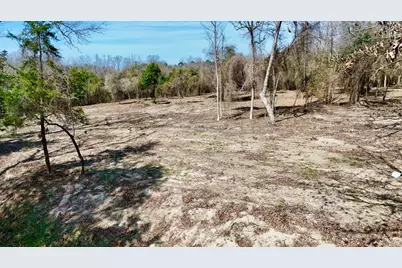 Tbd County Road 3211, Pittsburg, TX 75686 - Photo 5