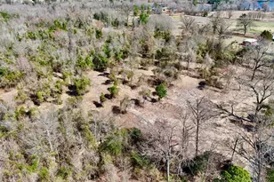 Tbd County Road 3211, Pittsburg, TX 75686 - Photo 1