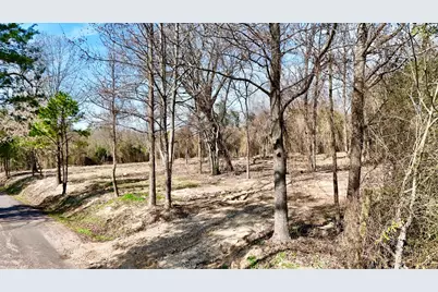 Tbd County Rd 3211, Pittsburg, TX 75686 - Photo 5