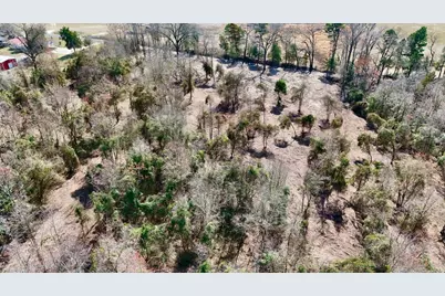 Tbd County Rd 3211, Pittsburg, TX 75686 - Photo 3