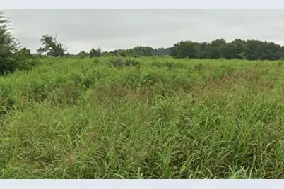 Tbd Cr 2174, Sulphur Springs, TX 75482 - Photo 3