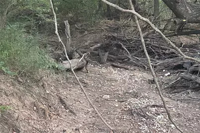 Tbd Pearce Road, Collinsville, TX 76233 - Photo 21