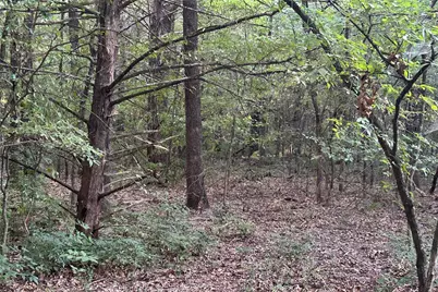 Tbd Pearce Road, Collinsville, TX 76233 - Photo 9