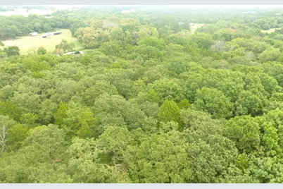 Tbd Pearce Road, Collinsville, TX 76233 - Photo 35