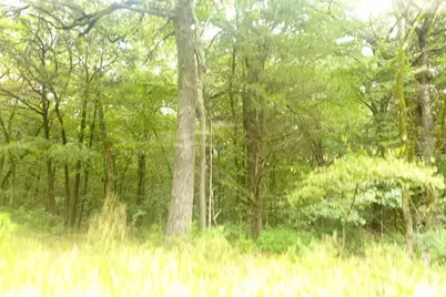 Tbd Pearce Road, Collinsville, TX 76233 - Photo 29