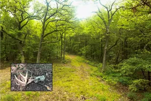 Tbd Pearce Rd, Collinsville, TX 76233 - Photo 1