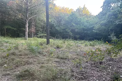 Tbd Pearce Road, Collinsville, TX 76233 - Photo 17