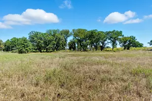 113 Homestead Ct, Lipan, TX 76462 - Photo 1