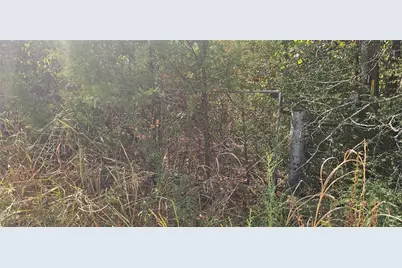 4311 McKinney Street, Greenville, TX 75401 - Photo 3