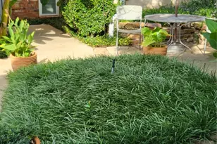 4317 Hartford St, Dallas, TX 75219 - Photo 5