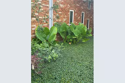 4317 Hartford Street #109, Dallas, TX 75219 - Photo 11