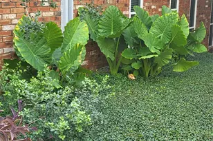 4317 Hartford St, Dallas, TX 75219 - Photo 11