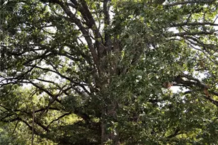 4120 E Interstate 30, Campbell, TX 75422 - Photo 33