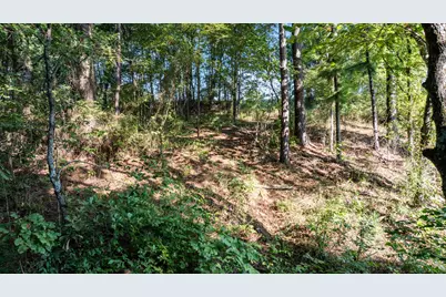 17109 Lux Mundi Lot 28, Winona, TX 75792 - Photo 15