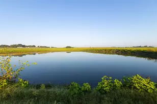 7545 Cr 1228, Godley, TX 76044 - Photo 1