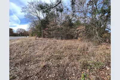 0000 State Hwy 64, Ben Wheeler, TX 75754 - Photo 3