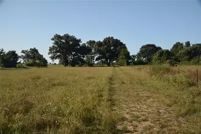 Tbd Vz County Road 1820, Grand Saline, TX 75140 - Photo 9