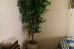 515 FM2353, Graford, TX 76449 - Photo 11