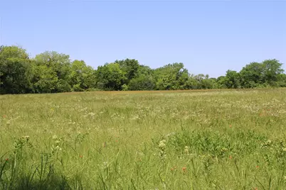 Tbd 1233 County Road 3210 Street, Dodd City, TX 75438 - Photo 3