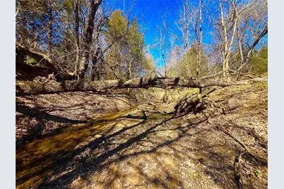 Tbd 13.7+/- Acres County Road 2560, Alvord, TX 76225 - Photo 19