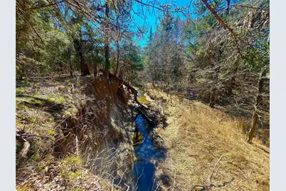 Tbd 13.7+/- Acres County Road 2560, Alvord, TX 76225 - Photo 21