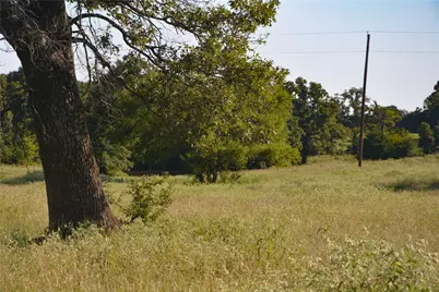 Tbd Vz County Road 1821, Grand Saline, TX 75140 - Photo 3