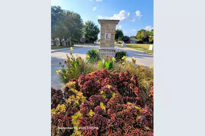 244 Brookdale Drive, Little Elm, TX 75068 - Photo 27