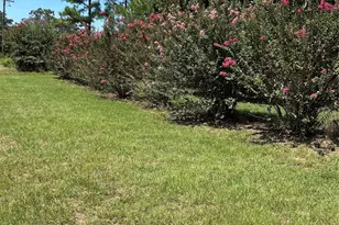 4546 W Fm 515, Quitman, TX 75783 - Photo 13