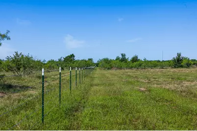 Tract 2 Tbd Lcr 392, Groesbeck, TX 76642 - Photo 21