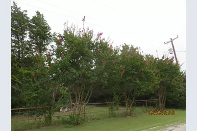 6 Highridge Farms Road, Lowry Crossing, TX 75069 - Photo 13